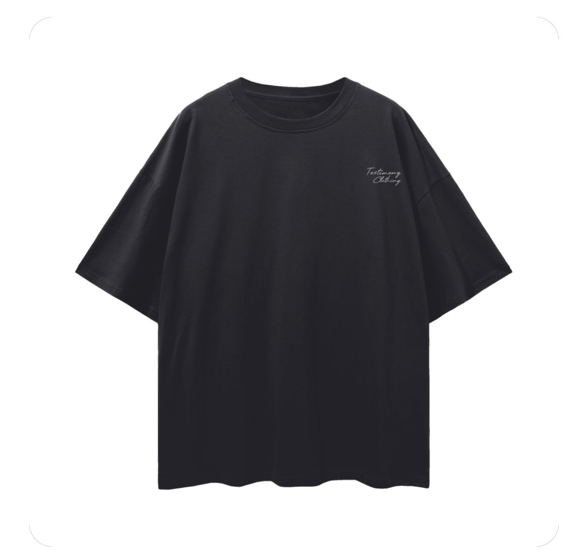 Proverbs 31 T-Shirt